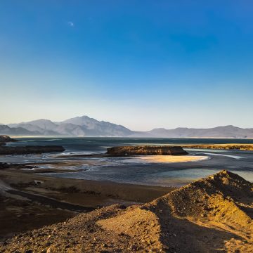 Djibouti A Whale Shark Watching Haven